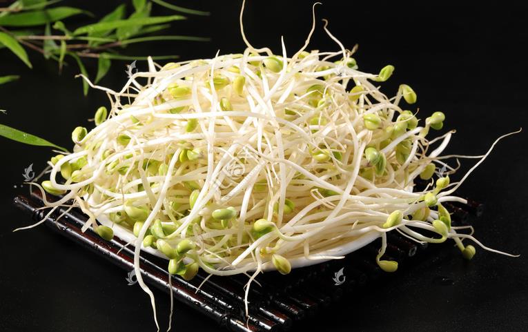 無公害綠色豆芽，怎么生產(chǎn)出來的？全套生產(chǎn)過程如此方便智能